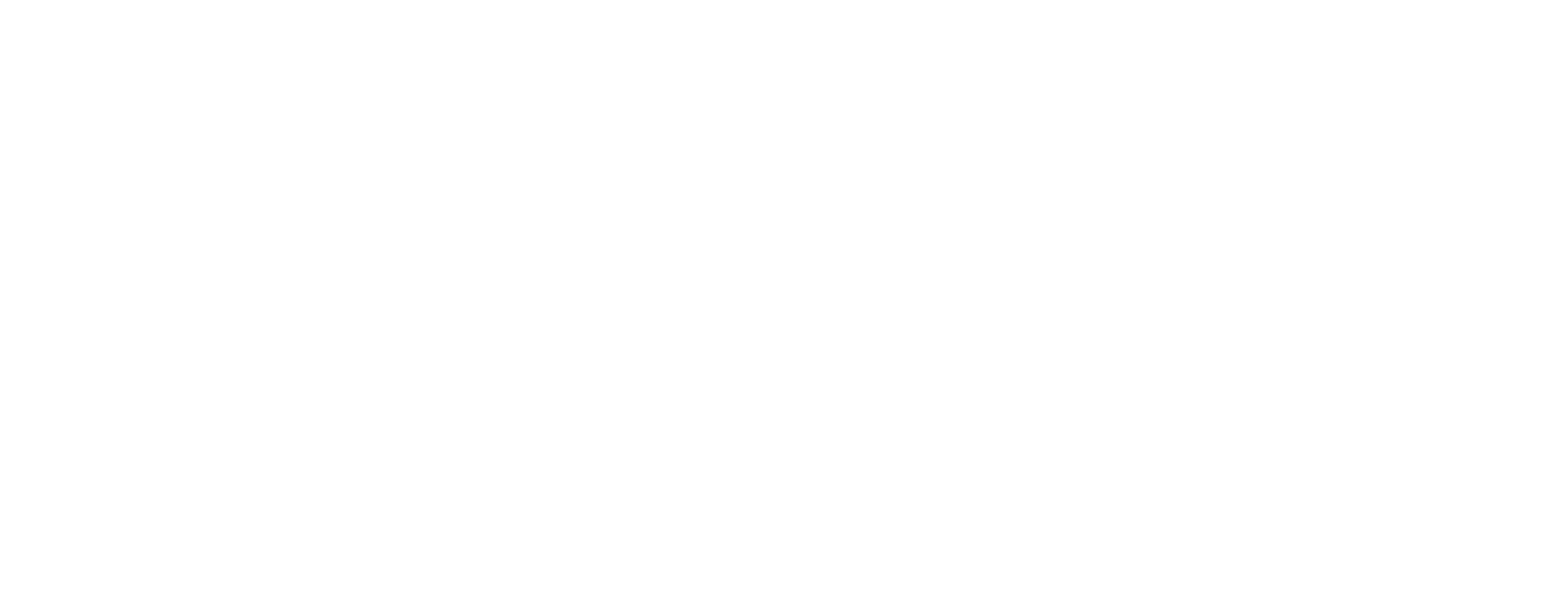 Asset 40